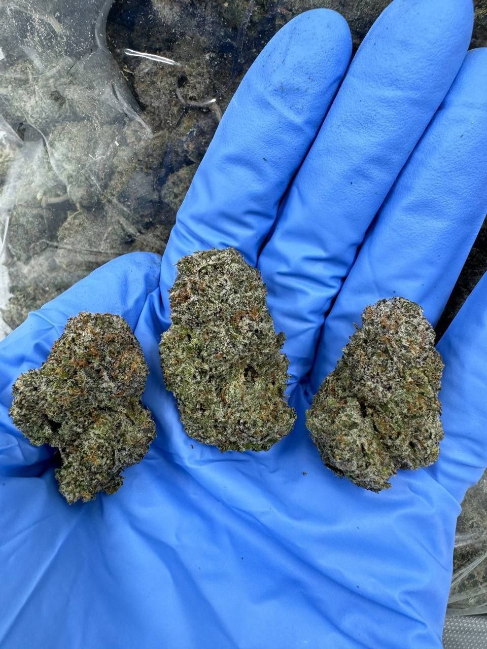 photo_2024-10-02_09-07-08