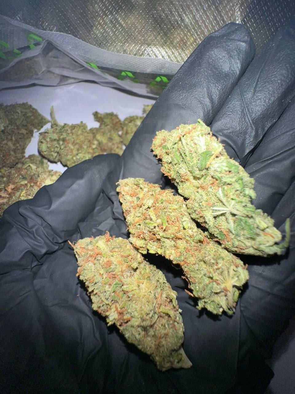 photo_2024-10-02_09-08-24