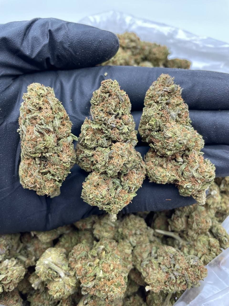 photo_2024-10-02_09-17-52