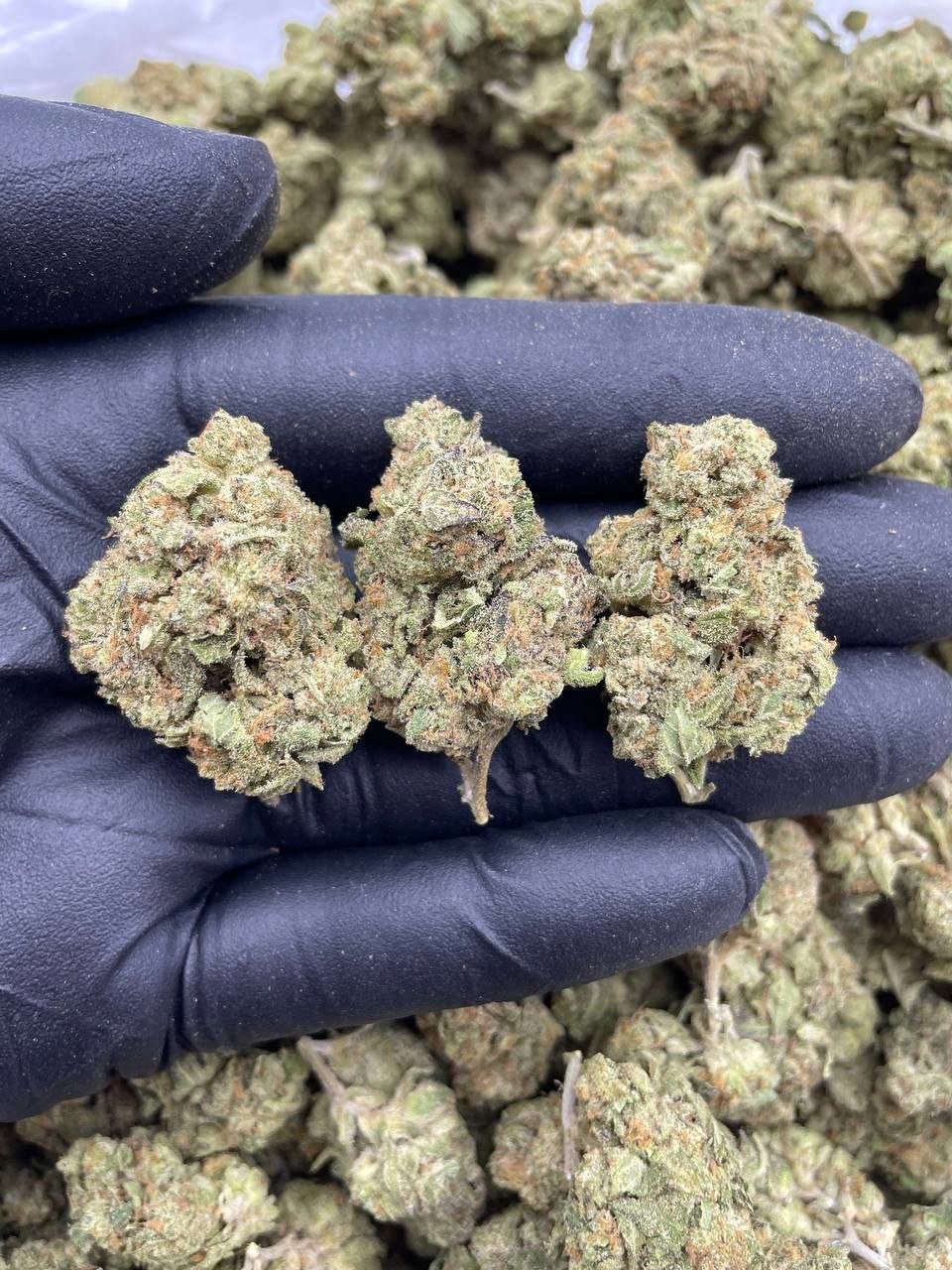 photo_2024-10-02_09-18-39 (2)