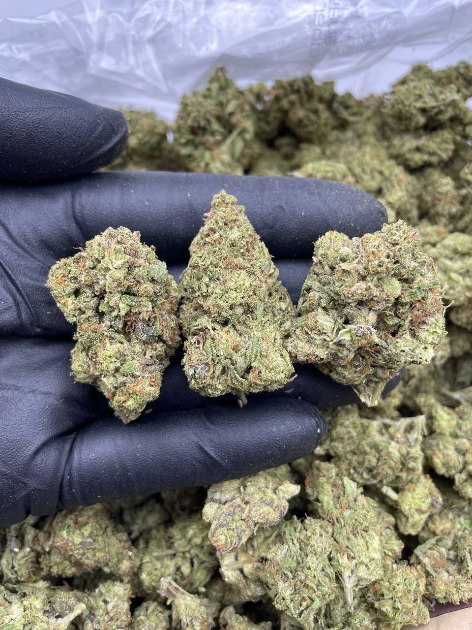 photo_2024-10-02_09-19-07