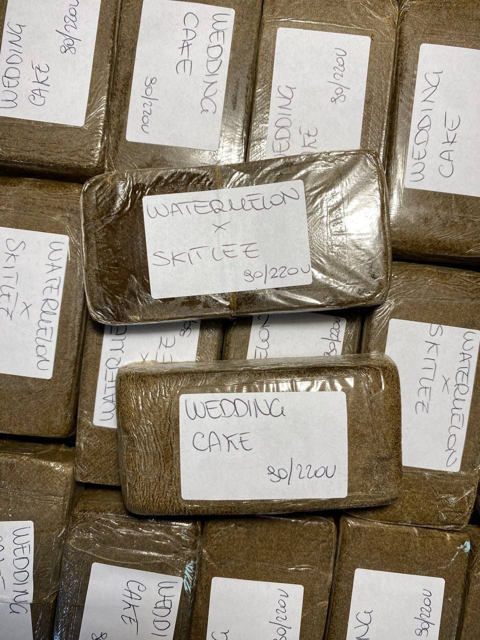 photo_2024-10-07_05-49-32