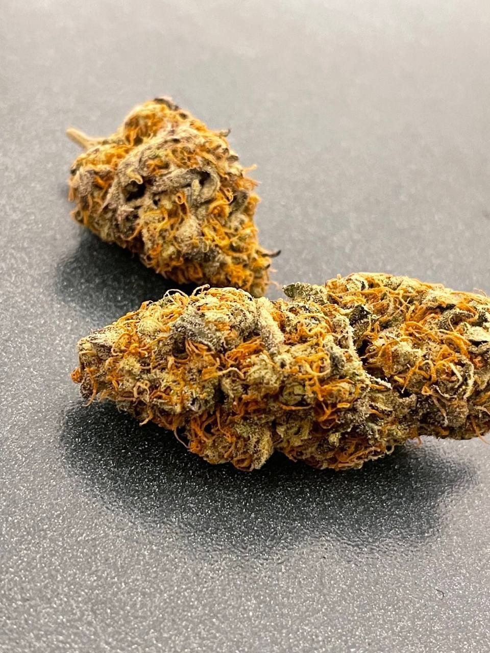 photo_2024-10-07_06-05-31