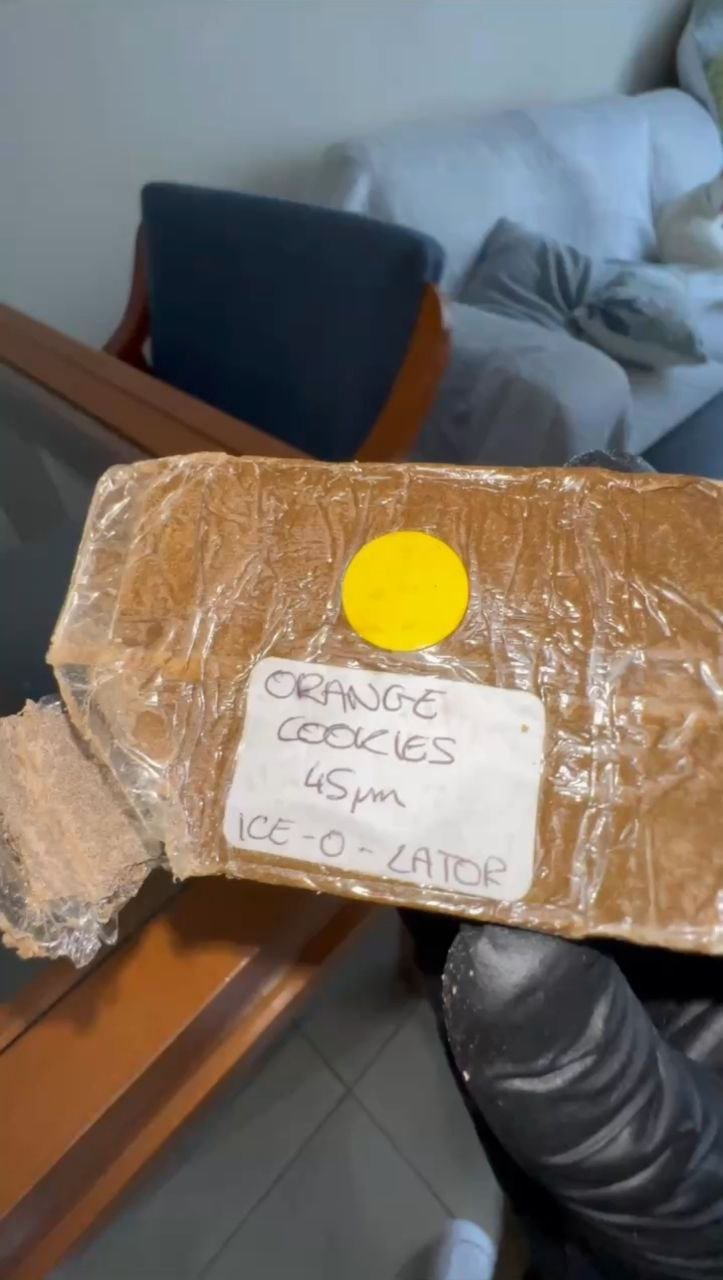 photo_2024-10-08_05-31-14