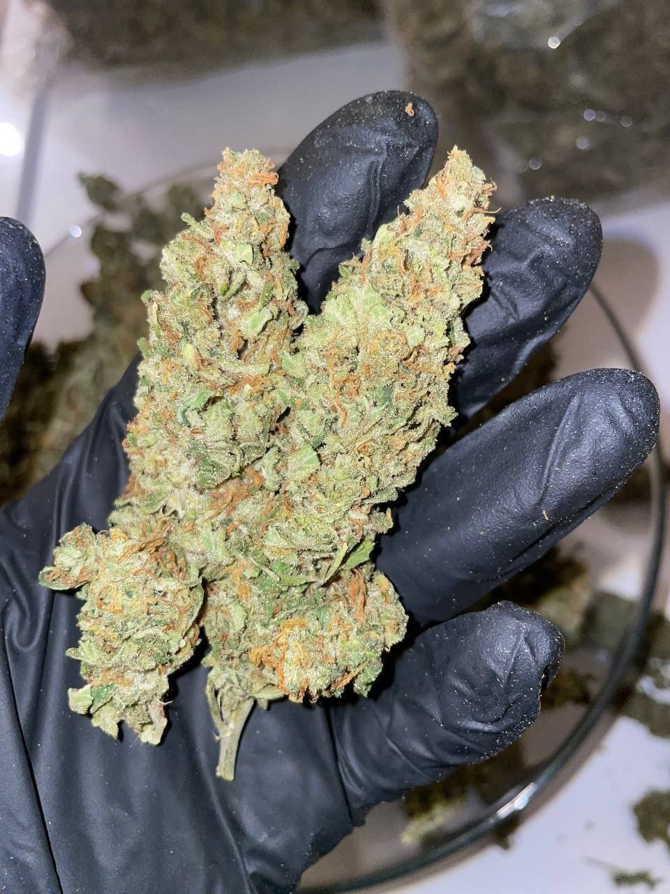 photo_2024-10-08_05-34-03